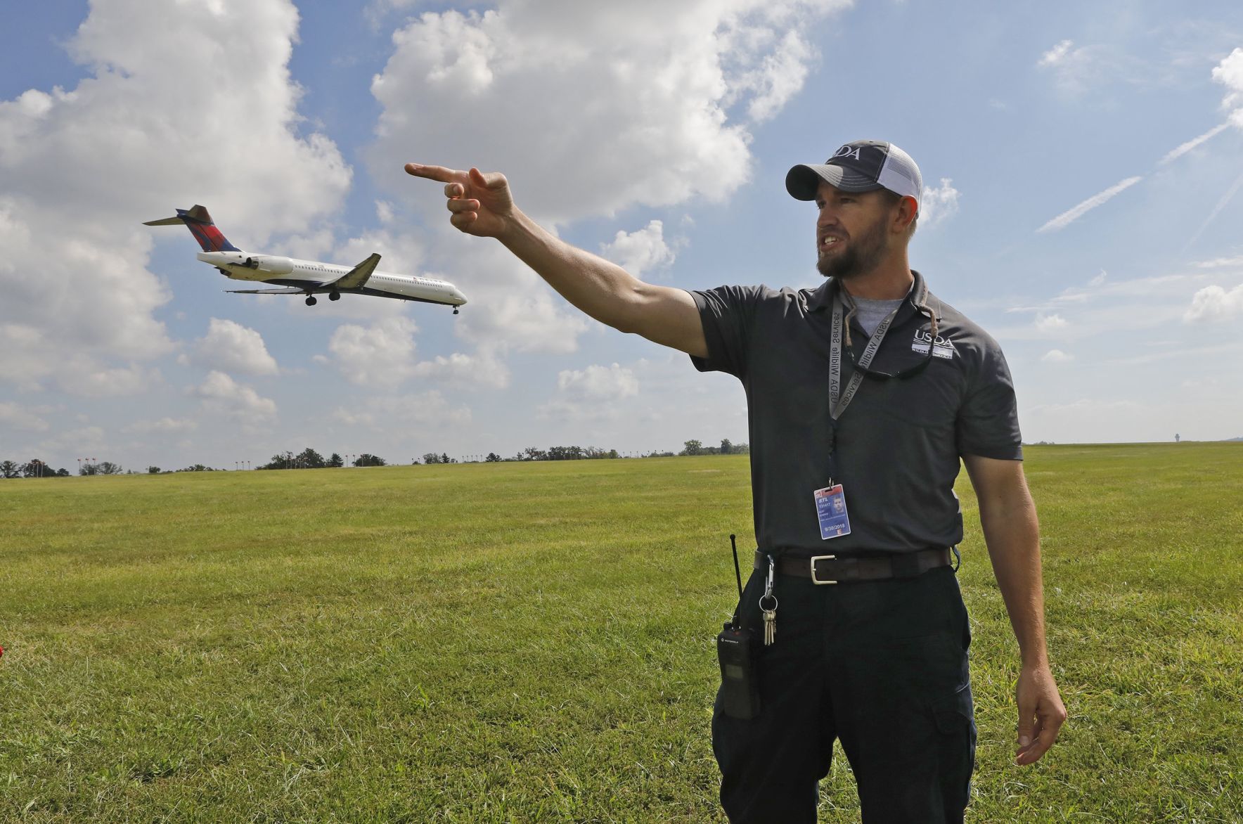 Keeping airplanes safe from birds is a full-time job